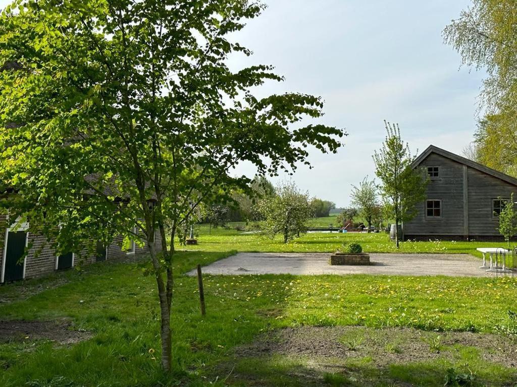 Kleine Huisje Ruinerwold Eksteriør billede